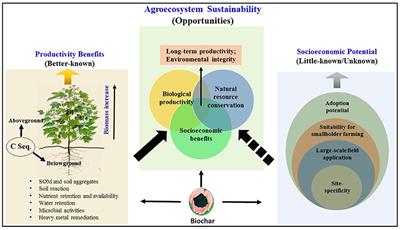 Biochar in the Agroecosystem–Climate-Change–Sustainability Nexus